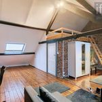 Rent 6 bedroom house in Tervuren