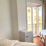 Affitto 5 camera appartamento in Rome