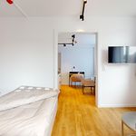 Miete 2 Schlafzimmer wohnung von 29 m² in Lüneburg