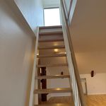 Rent 3 bedroom apartment of 110 m² in Randers C