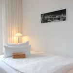 Rent 2 bedroom apartment of 50 m² in Leipzig