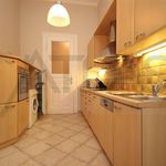 Rent 4 bedroom apartment of 160 m² in Praha
