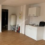 Rent 1 bedroom apartment of 26 m² in Saint-Thuriau