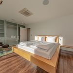Miete 4 Schlafzimmer wohnung von 180 m² in Heidelberg