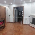 Rent 4 bedroom house of 100 m² in Zagarolo