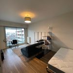 Rent 1 bedroom apartment of 28 m² in Rennes