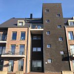  appartement avec 1 chambre(s) en location à Zottegem