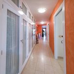 Alquilo 3 dormitorio apartamento de 90 m² en Castelló de la Plana