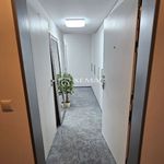 Rent 2 bedroom apartment of 52 m² in Číhošť