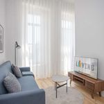 Rent 1 bedroom apartment of 48 m² in Porto
