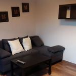 Rent 1 bedroom apartment of 40 m² in Lublin