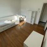 Rent 1 bedroom apartment of 27 m² in Seyssinet-Pariset