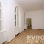 Rent 3 bedroom apartment of 90 m² in Plzeň