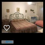 Rent 3 bedroom apartment of 70 m² in Spello
