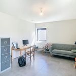 Rent 3 bedroom house of 149 m² in Heuvelland