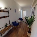 Rent 7 bedroom apartment in Toulouse