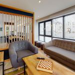 Rent 1 bedroom student apartment of 18 m² in Brighton