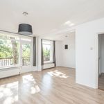 Rent 1 bedroom apartment of 68 m² in Hilversum