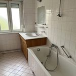 Rent 3 bedroom apartment of 81 m² in Schiltigheim