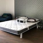 Rent 1 bedroom apartment in NANTES