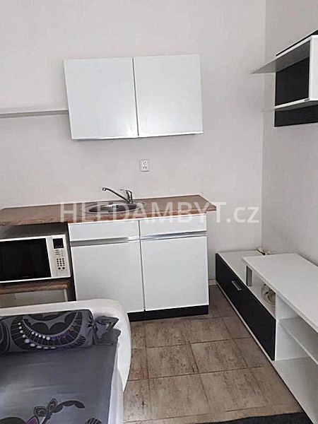 Rent 1 bedroom apartment of 25 m² in Dolní Břežany