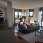Rent 5 bedroom house of 280 m² in Treviso