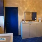 Affitto 1 camera appartamento di 48 m² in Novara