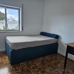 Alugar 2 quarto apartamento de 81 m² em Paredes