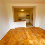 Rent 1 bedroom apartment of 26 m² in Havířov