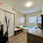 Rent 4 bedroom house in Drahelcice