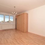Rent 2 bedroom apartment of 67 m² in Pilsen