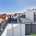 Rent 1 bedroom apartment of 56 m² in Plzeň