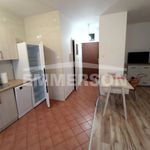 Rent 1 bedroom apartment of 33 m² in Warsaw