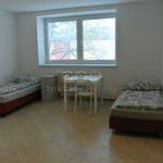Rent 1 bedroom apartment in Pardubice