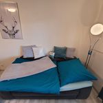 Miete 1 Schlafzimmer wohnung von 27 m² in Kassel