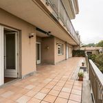 Rent 6 bedroom apartment of 410 m² in Castiglione Torinese
