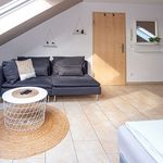 Rent 1 bedroom apartment of 45 m² in Marl