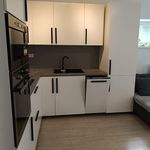 Rent 1 bedroom apartment of 92 m² in Brno