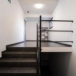 Rent 1 bedroom apartment in Mons