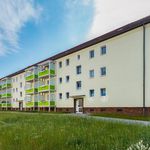 Rent 3 bedroom apartment of 63 m² in Oschatz
