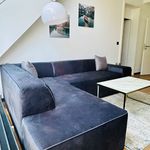 Rent 3 bedroom apartment of 70 m² in München