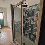 Rent 3 bedroom apartment of 80 m² in Palermo