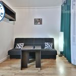 Wynajmij 1 sypialnię apartament z 22 m² w Zabrze