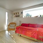 Rent 2 bedroom apartment of 36 m² in Dortmund