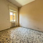 Rent 2 bedroom apartment of 70 m² in Mugnano di Napoli