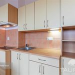 Rent 1 bedroom apartment of 2643 m² in Plzeň
