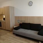 Rent 1 bedroom apartment of 40 m² in Székesfehérvár