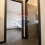 Rent 2 bedroom apartment of 63 m² in Truccazzano