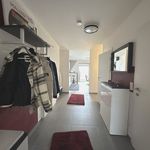 Rent 3 bedroom apartment of 78 m² in Leibnitz
