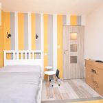 Rent 3 bedroom apartment of 51 m² in Kraków